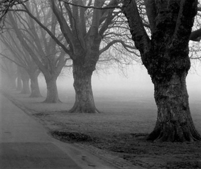 photograph of Jesus Green, Cambridge