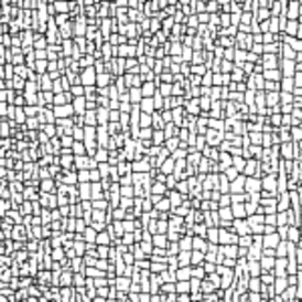 detail of the digitally extracted crack pattern