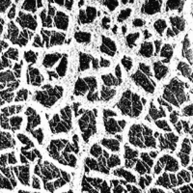 an example of ‘drying’ cracks